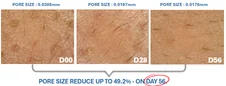 Pore size reduced up to 49.2% on day 56